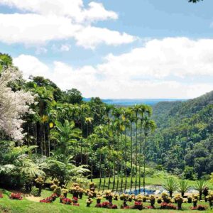 Jardin de Balata Martinique - Beyondthebeach.fr