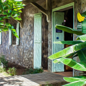 Billet d'entrée Musée de la Banane