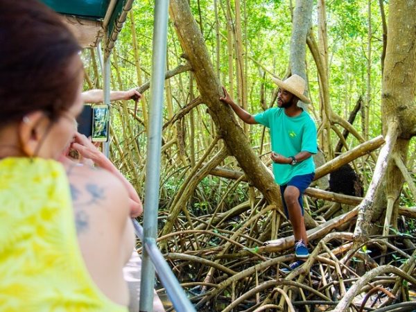 mangrove-en-bateau- Martinique - Beyondthebeach.fr